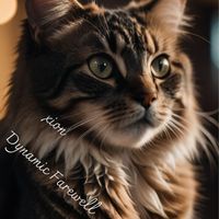 xion - Dynamic Farewell