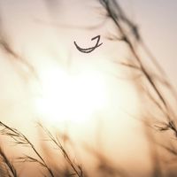 William Edessa - Soft Breeze