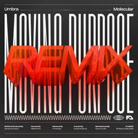Umbra - Moving Purpose (Molecular Remix) (Molecular Remix)