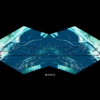 PLAY DEAD - WHALE