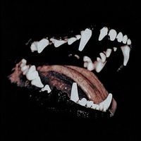 Judy - THAT WAS MY DOG (Explicit)