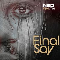 Neo (feat. Tim) - Final Say