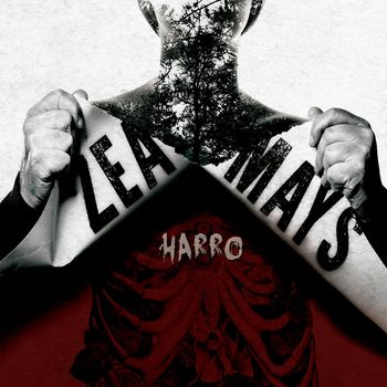 Zea mays - Harro