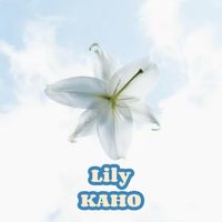 Kaho - Lily