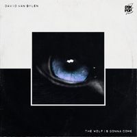 David Van Bylen - The Wolf Is Gonna Come
