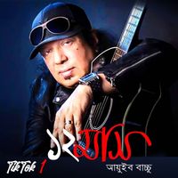 Ayub Bacchu - Baro Mash (Tiktok)