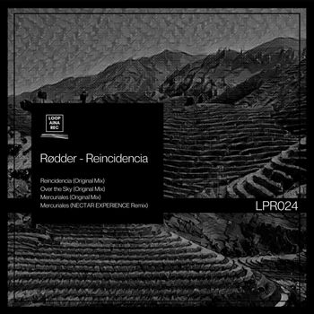 Rødder - Reincidencia