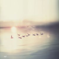 IDYLL - Slow Dawn