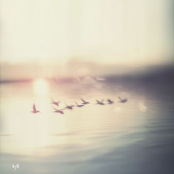 IDYLL - Slow Dawn