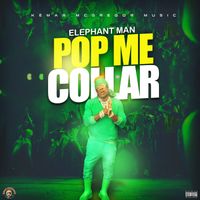 Elephant Man & Kemar McGregor - Pop Me Collar
