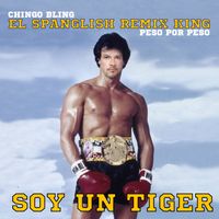Chingo Bling - Soy Un Tiger (Explicit)