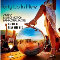Amuka - Party Up In Here (Rafael M Peak Vibe Mix [Explicit])