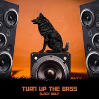 Black Wolf - Turn Up The Bass