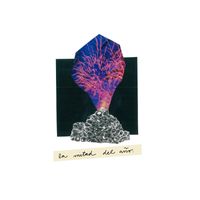 pau - La Mitad del Año