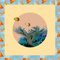 Flora - Microclima