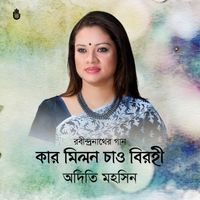 Adity Mohsin - Kar Milon Chao Birohi