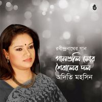 Adity Mohsin - Ganguli Mor Soibaleri Dal