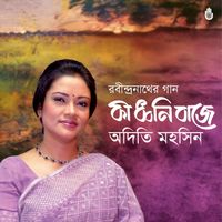 Adity Mohsin - Ki Dhwani Baje