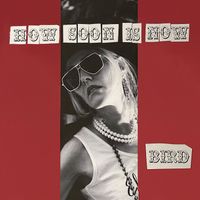 Bird - How Soon Is Now
