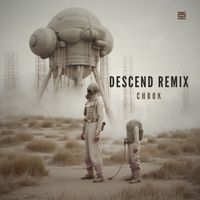Chook - Descend (Chook remix)
