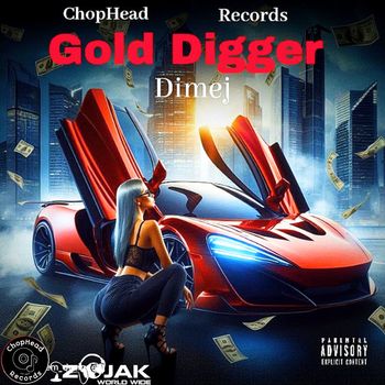 Dimej - Gold Digger