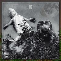 Quire - A Collection of Songs I (Explicit)
