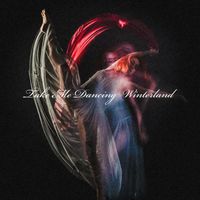 Winterland - Take Me Dancing