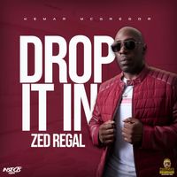 Zed Regal & Kemar McGregor - Drop It In (Explicit)