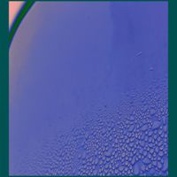 Chips - Bamboo Living