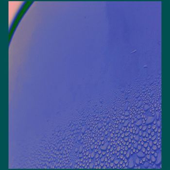 Chips - Bamboo Living