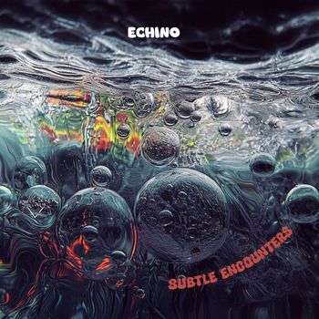 Echino - Subtle Encounters