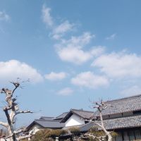 tatsu - 駆け足