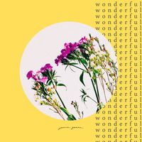 Jamie Grace - Wonderful (Extended)