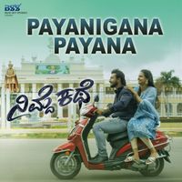 Rajesh Krishnan - Payanigana Payana (From "Nimde Kathe") (Original Motion Picture Soundtrack)