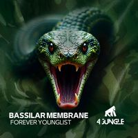 Bassilar Membrane - Forever Younglist