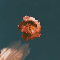 NONSENSE - Open Up