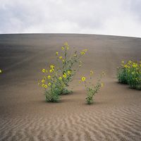 Barbara - SO THIS IS LIVING (Explicit)