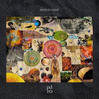 PDRO - DESPERTARME