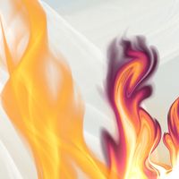 Eleanor - Rhythm of Fire