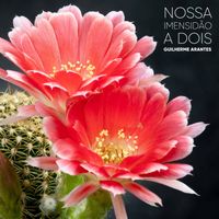 Guilherme Arantes - Nossa Imensidão a Dois