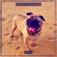 STASH - What I've Become