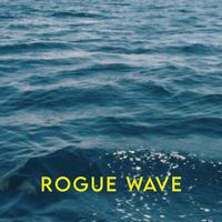 ROI OS - Rogue wave
