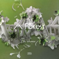 DJ Soulstar - A Forest (Extended Mix)