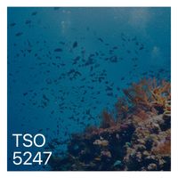 TSO - 5247