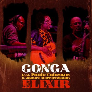 Gonga - Elixir