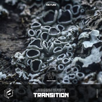 Johnny Kvant - Transition