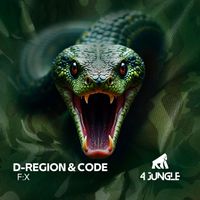 D-Region & Code - FX