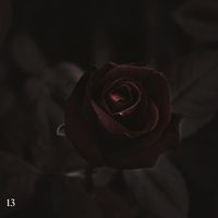 black hole - 13 (Instrumental)