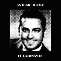 Antonio Tormo - El Caminante