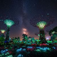 Odette - Starry Night Eden